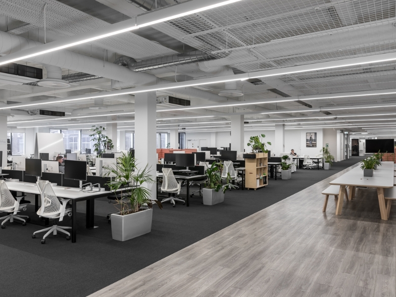 5 Nguyên Tắc Phong Thủy Cần Biết Khi Bố Trí Văn Phòng