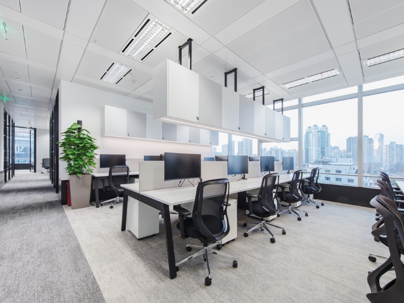 5 Nguyên Tắc Phong Thủy Cần Biết Khi Bố Trí Văn Phòng